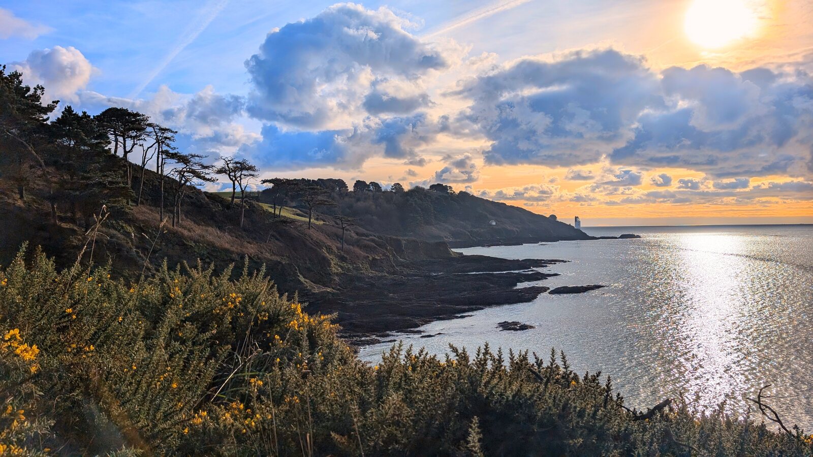 A dramatic golden sunset over the entrance to the Fal estuary near Falmouth, with cloud-streaked sky, a wooded headland silhouetted on the left, yellow gorse in flower in the foreground, and the small white tower of St Anthonys Lighthouse on the distant Roseland headland.