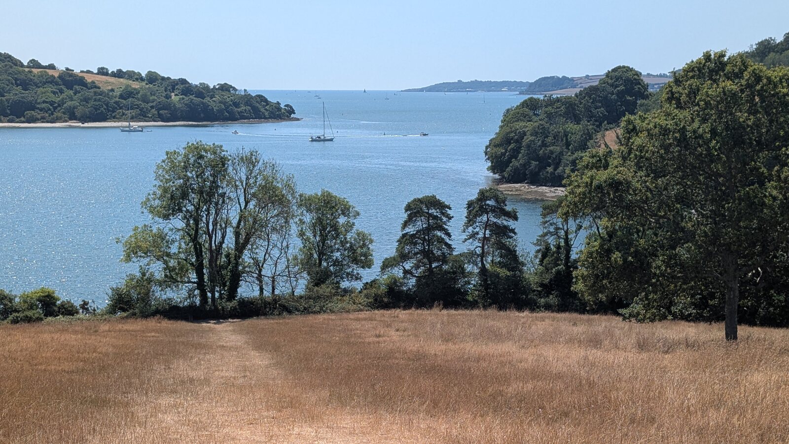 The view from Trelissick's parkland down the River Fal towards Falmouth on a summer day, with sailing boats on the water, wooded banks either side and a golden meadow in the foreground.
