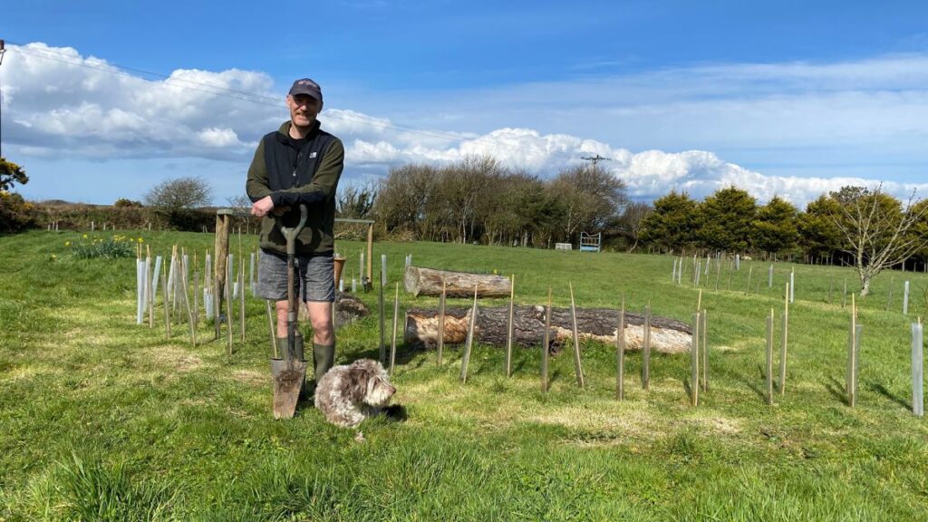 Rich planting trees in the Trewena meadow.