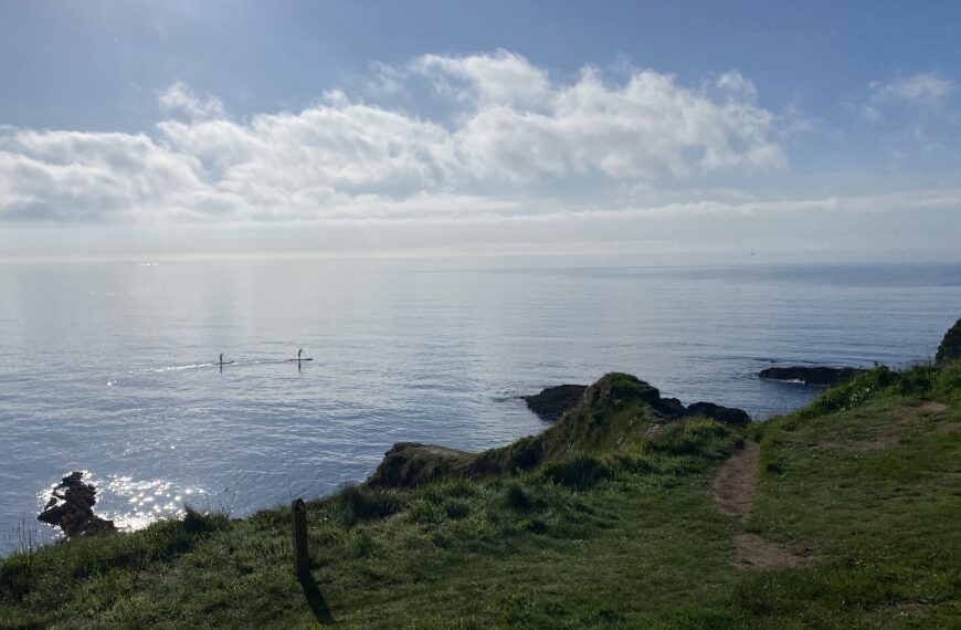 A breathtaking coastal footpath leading to Maenporth Beach, offering panoramic sea views and the chance to spot seals from land or water.
